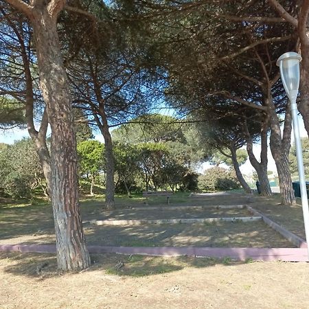 Апартаменты Lara 3 - T2 Loggia Piscine 2 Lits Doubles Parking Pres Du Centre-Port Et Ile Loisirs Агд Экстерьер фото